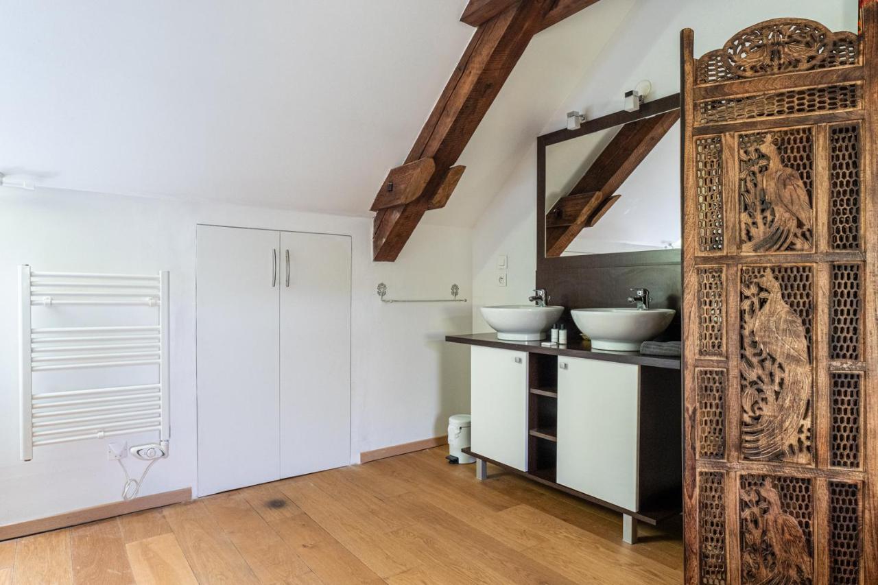 Carnot Duplex, Spacieux 3 Pieces Avec 2 Chambres Sur Les Rue Pietonnes Annecy Zewnętrze zdjęcie